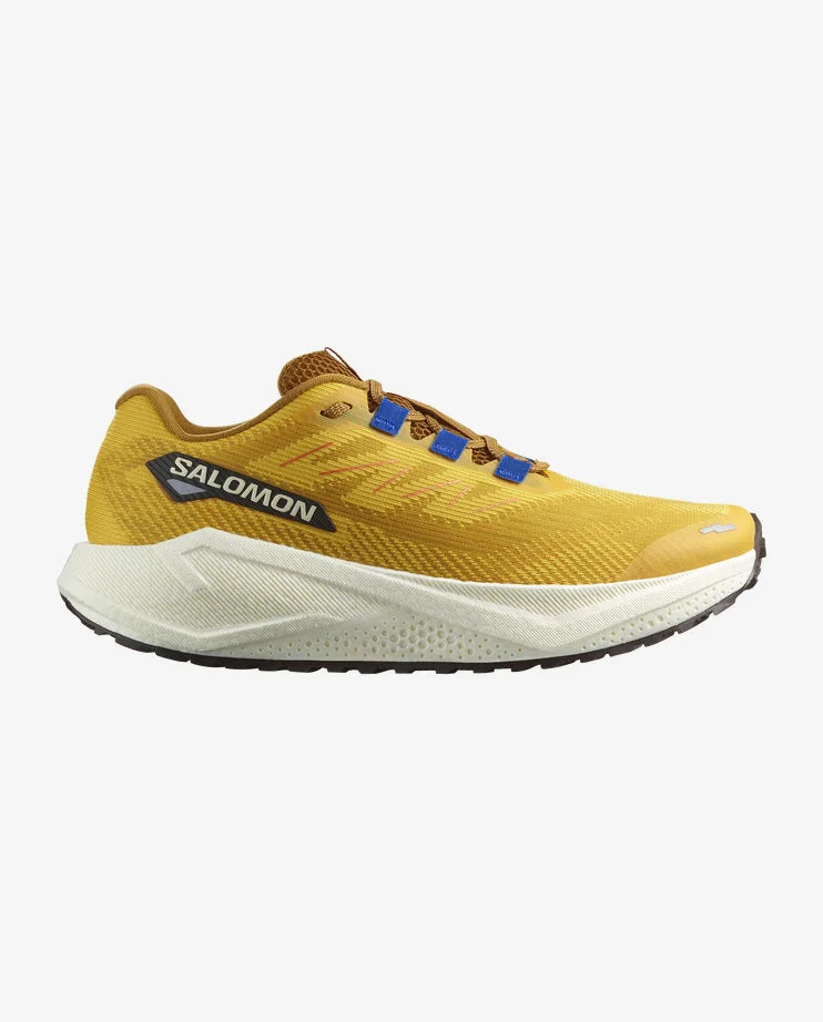 AERO BLAZE 3 GRVL Salomon