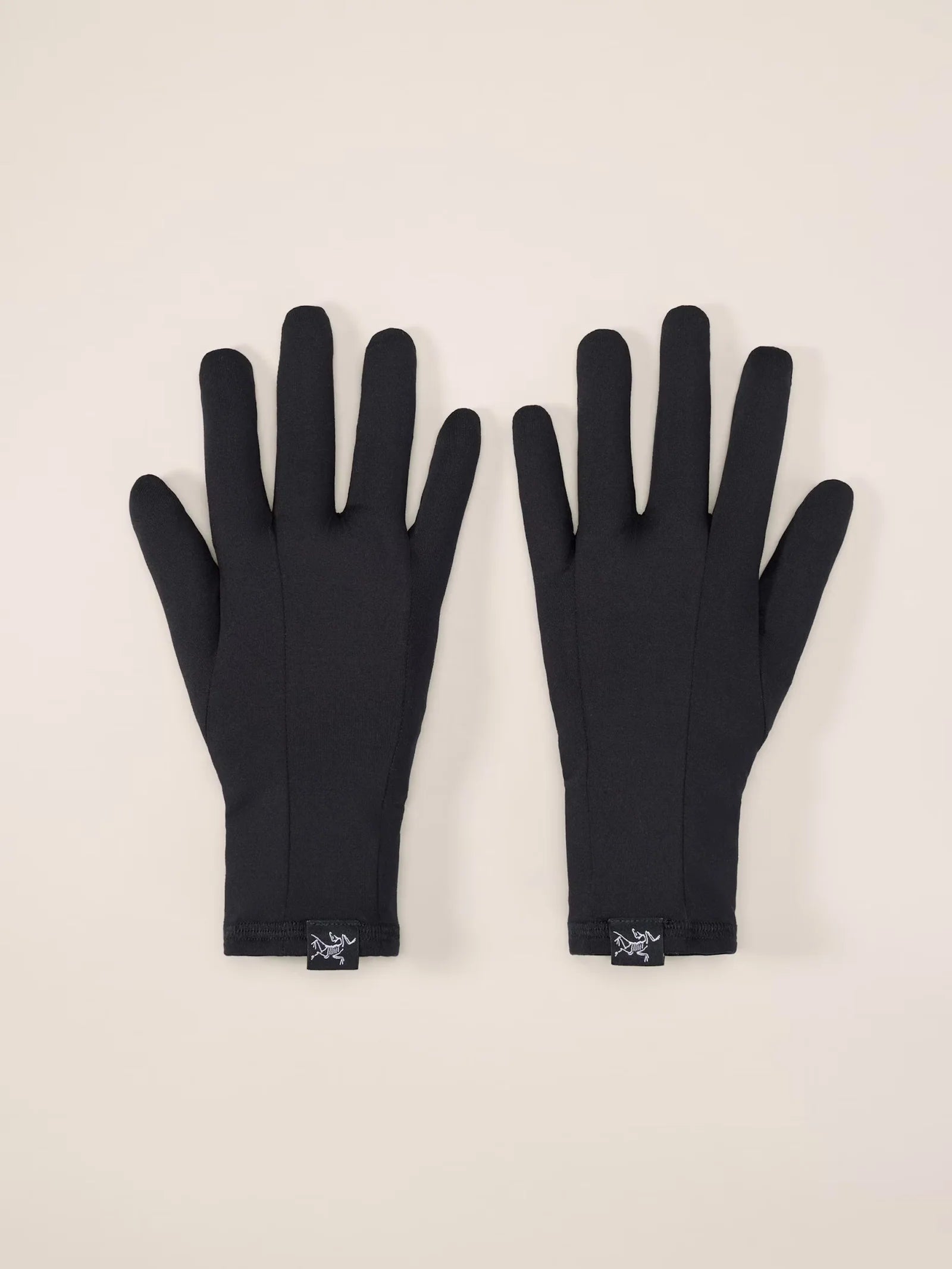 Gants Rho arc'teryx